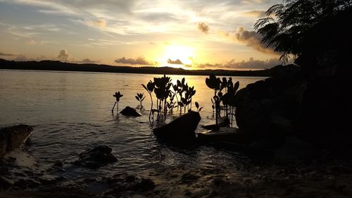 Scenic view of sea against sky during sunset