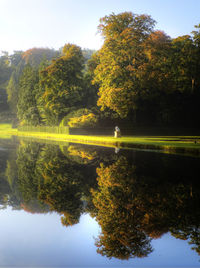 Trees by lake against sky
