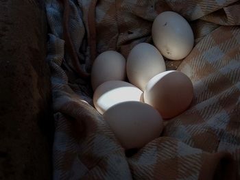 Close-up of eggs in tablecloth