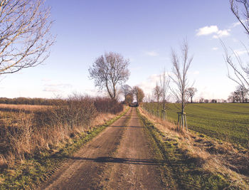 Surface level of country road along trees