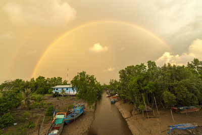 Scenic view of rainbow over trees against sky