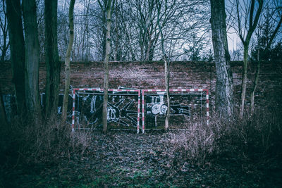 Information sign on tree trunk in forest