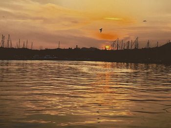 Silhouette birds flying over lake against orange sky