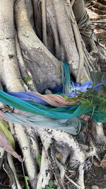 High angle view of fishing net on tree trunk