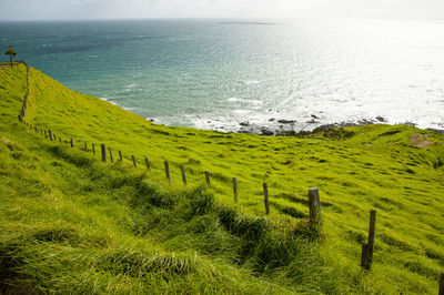 Scenic view of sea