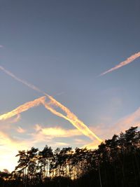 Low angle view of silhouette trees against sky during sunset