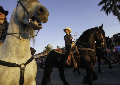 Horses riding horse