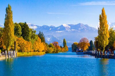 Scenic view of lake and trees against blue sky