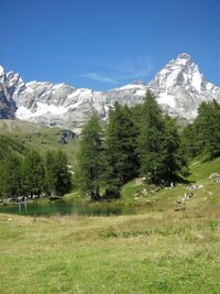 Scenic view of landscape against clear sky