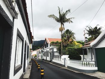 Road by palm trees and houses against sky