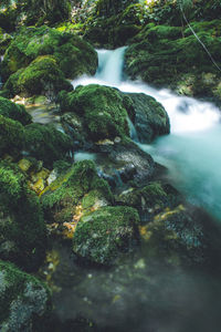 Scenic view of river flowing through rocks