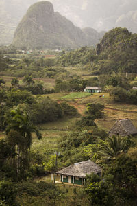 Scenic view of landscape and mountains