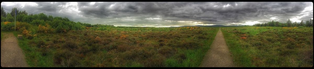 Scenic view of grassy field against cloudy sky