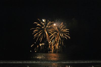 Low angle view of firework display at night