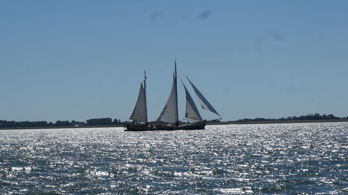 Sailboat sailing on sea against clear sky