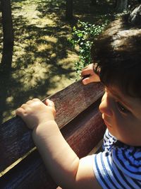 High angle view of father and son on wood