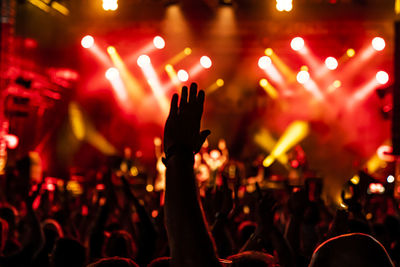 Crowd at music concert