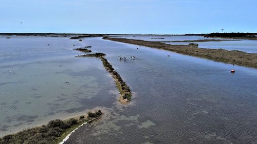 Scenic view of beach against clear sky