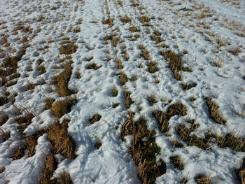 High angle view of snow covered land