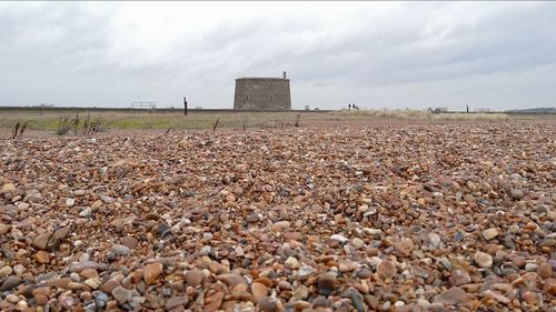 Crowd on field against sky