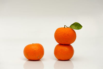 Close-up of orange fruit against white background