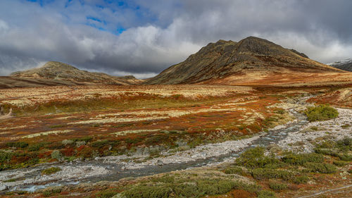 Autumn trip in rondane park