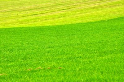 Full frame shot of green field