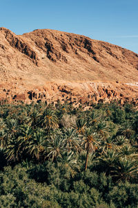 Scenic view of arid landscape against clear sky