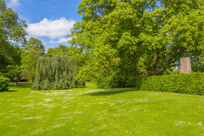 Scenic view of grassy field against cloudy sky