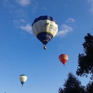 Low angle view of hot air balloons