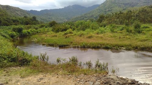 Scenic view of river by mountains against sky