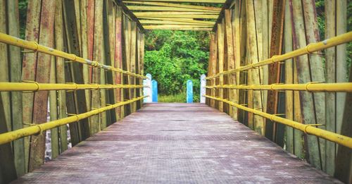 Empty footbridge along trees