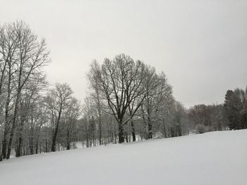 Bare trees on snow covered landscape