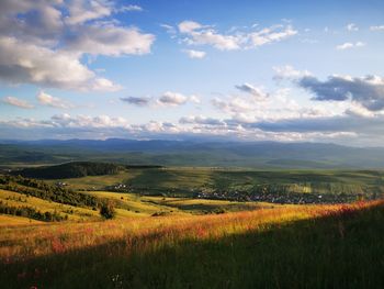 Scenic view of field against sky