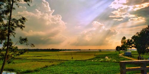 Scenic view of field against sky during sunset