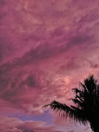 Low angle view of silhouette palm tree against romantic sky