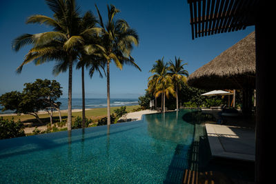 Palm trees by swimming pool against sky