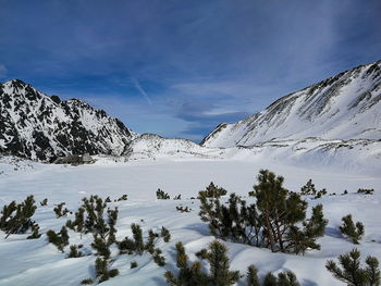 Scenic view of snowcapped mountains against sky