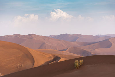 Scenic view of desert against sky