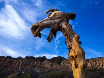 Low angle view of dead tree against blue sky
