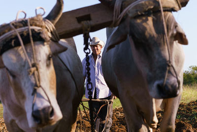 Portrait of farmer with cows at farm