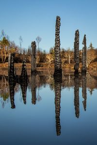 Reflection of trees in water against clear sky