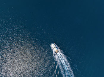 High angle view of man swimming in sea