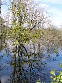 Scenic view of river against sky