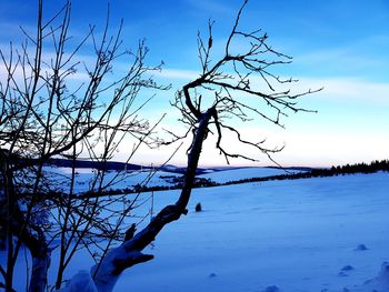 Bare tree against sky during winter