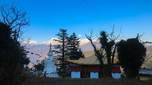 Trees and buildings against blue sky