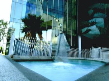 Palm trees against modern building