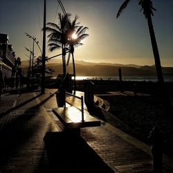 Palm trees by swimming pool against sky during sunset