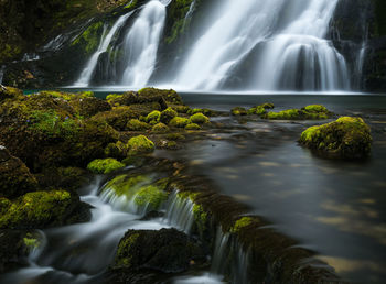 Scenic view of waterfall in forest