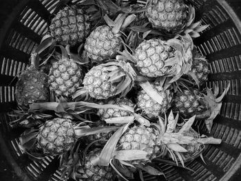 High angle view of fruits in market